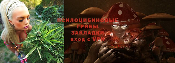 гашик Киренск