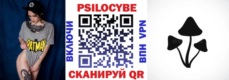 Купить где  Киселёвск  Галлюциногенные грибы Psilocybine cubensis 
